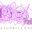 Pics Nails logo